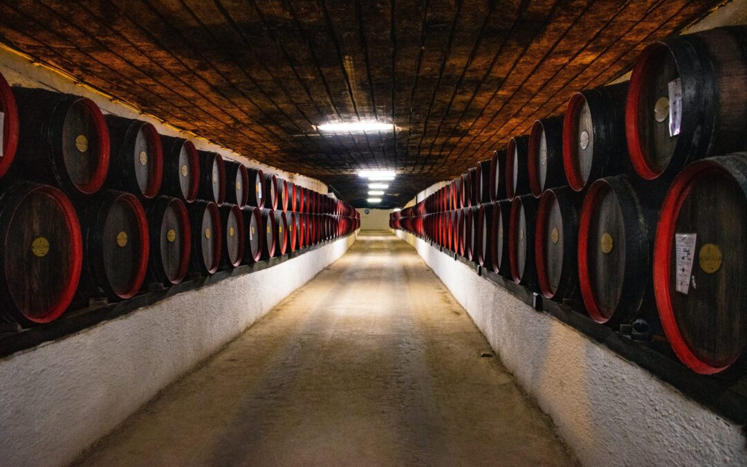 Botti di vino in cantina