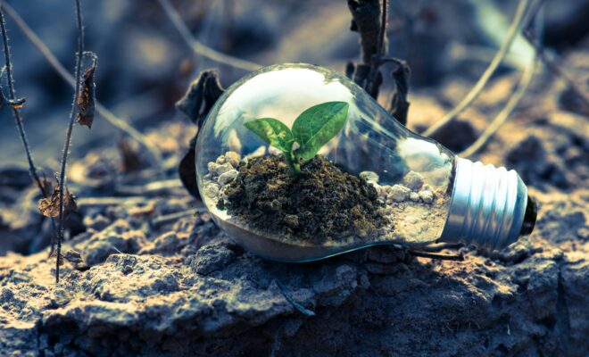 Lampadina esposta al sole al cui interno cresce una piantina. la lampadina è poggiata su della terra.